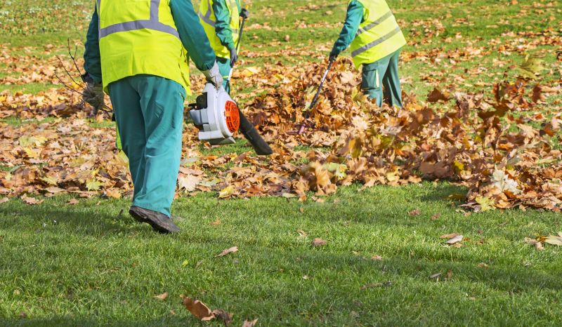 Ditch Leaf Removal