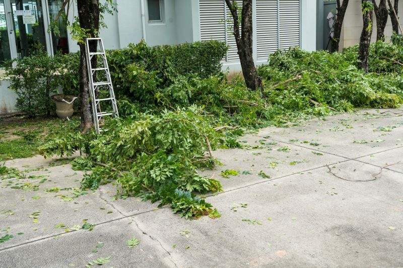 Leaf Removal at Property Edges