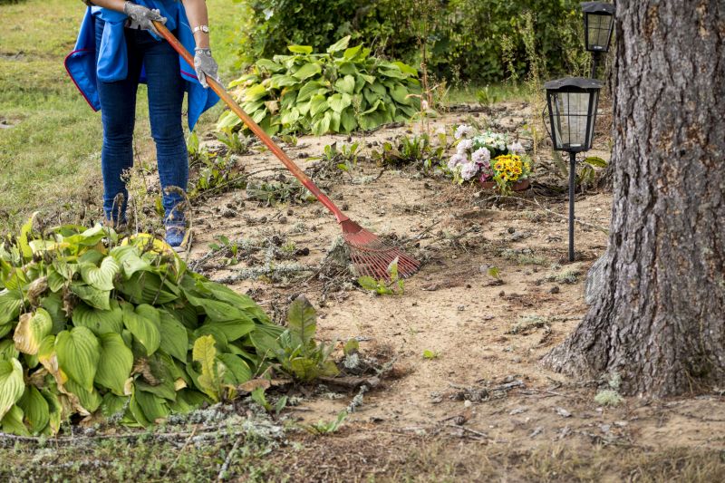 Customer Satisfaction Focus