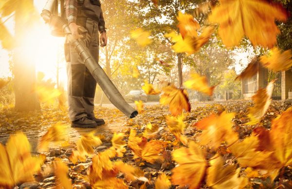 Cost of Leaf Blowing Service in Fresno