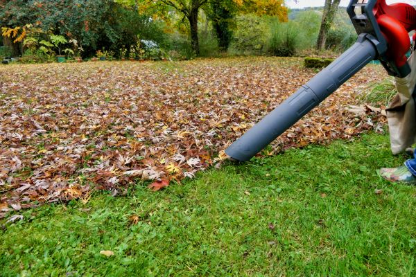 Cost of Leaf Vacuuming Service in Fresno