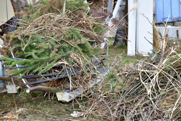 Cost of Yard Debris Removal in Fresno