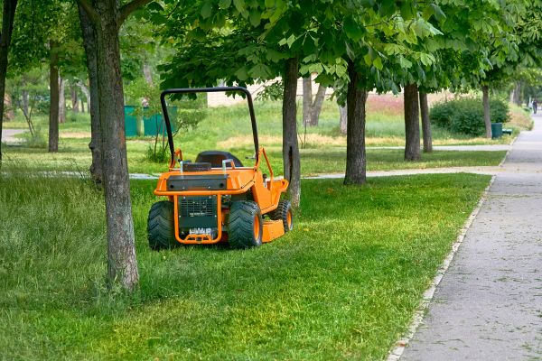 Cost of Landscaping Cleanup Service in Fresno