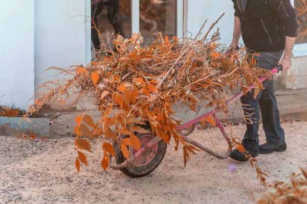 Cost of Lawn Debris Cleanup in Fresno