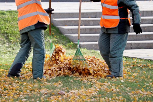 Cost of Leaf Hauling Service in Fresno