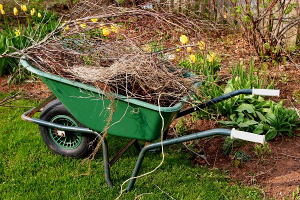 Cost of Lawn Waste Removal in Fresno