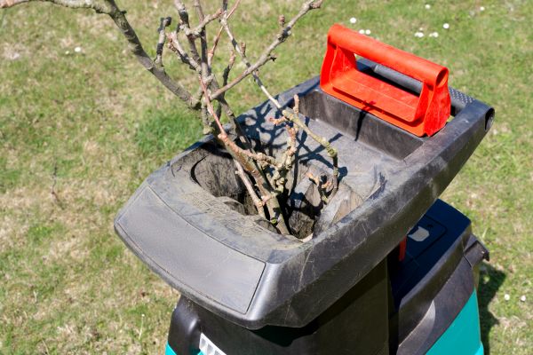 Cost of Brush Cleanup Service in Fresno