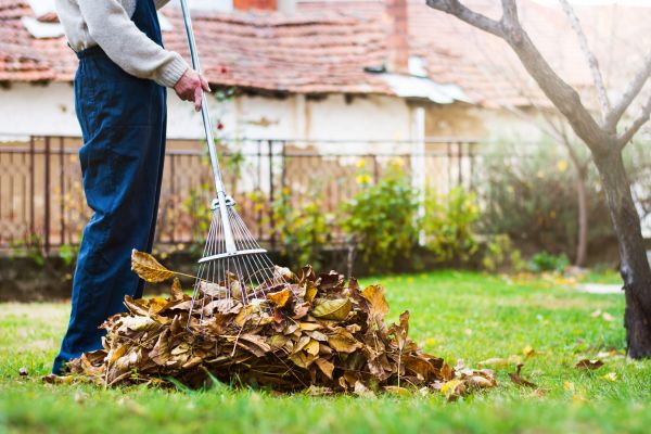 Cost of Fall Yard Cleanup Service in Fresno