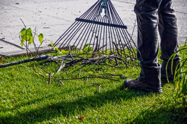 Cost of Yard Debris Cleanup in Fresno